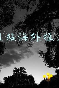 海外网络推广(是时候告诉你们这些海外推广方式了)