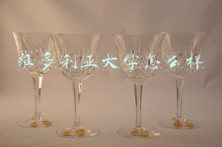 维多利亚大学官网(澳大利亚留学之维多利亚大学概述)