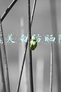 美肤宝美白防晒隔离霜