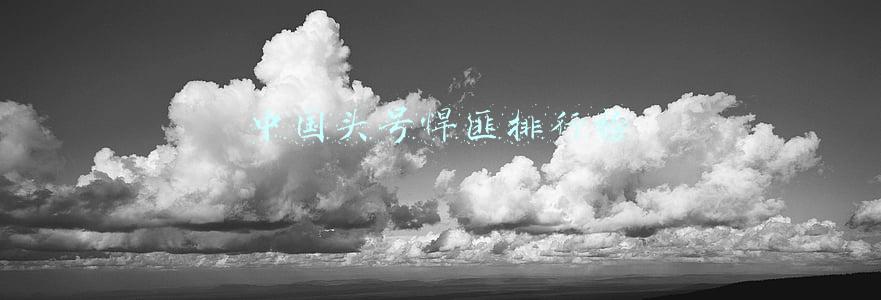 中国头号悍匪排行榜