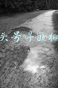 中国十大悍匪(盘点新中国成立后的十大悍匪，各个都是杀人如麻的刽子手)