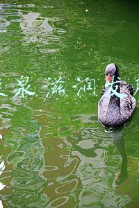 资生堂丝蓓绮0秒发膜(发膜测评 什么是便宜大碗性价比)