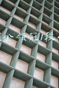 伊利金领冠一段价格(金领冠、诺优能一段怎么样，哪款奶粉适合新生儿？)