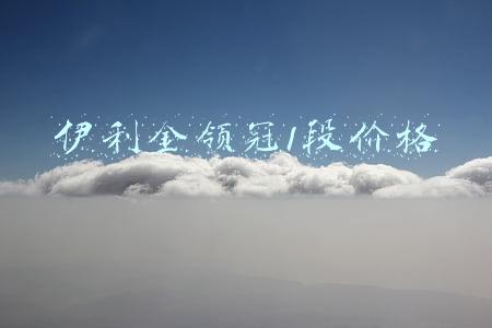 伊利金领冠1段价格