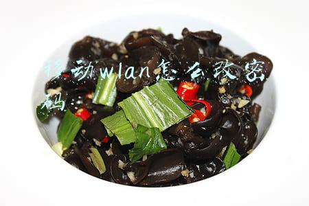移动wlan任我用套餐是什么意思(公共WiFi会偷钱？日照移动WLAN保安全)