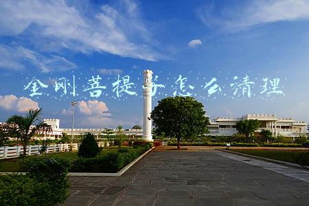 金刚菩提怎么清洗干净(小金刚菩提清理6个步骤，照着做，你的小金刚就是极品了)