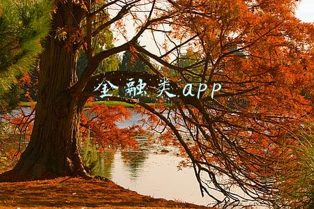 金融类app