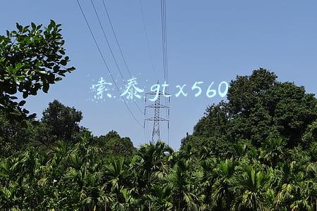 索泰gtx560se(你知道英伟达显卡的命名规则吗？)