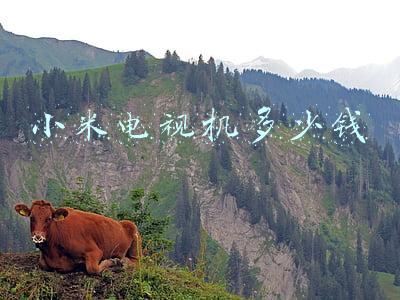 小米电视机多少钱