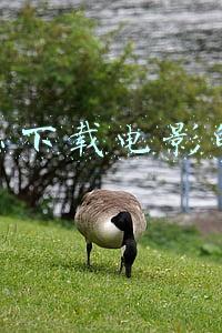 有什么下载电影的网站