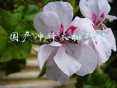 国产冲锋衣排行榜