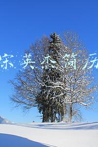 宋英杰简历个人资料简介(宋英杰：56岁仍在播天气！娶小12岁师妹，因儿子“前世记忆”被议)