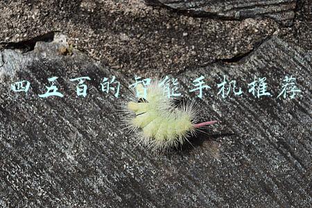 五六百的智能手机推荐(款款都超值 6款500左右性价比最高的手机推荐)