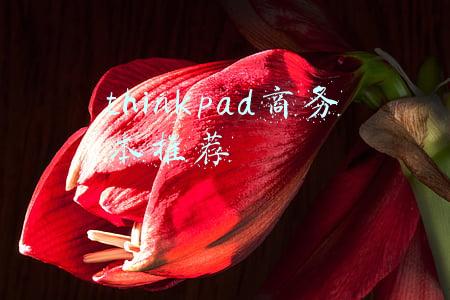 thinkpad商务本推荐x(轻薄商务本新标杆，至薄钛金ThinkPad X1 Titanium评测)