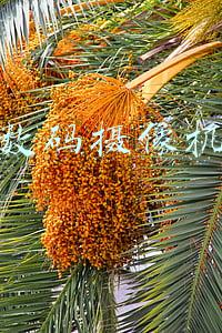 索尼数码摄像机大全