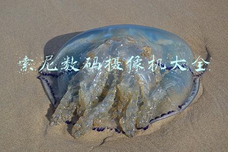 索尼数码摄像机大全