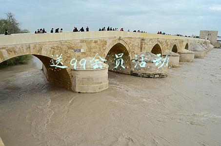 开通qq会员送黑钻活动(教你如何免费领取DNF黑钻)