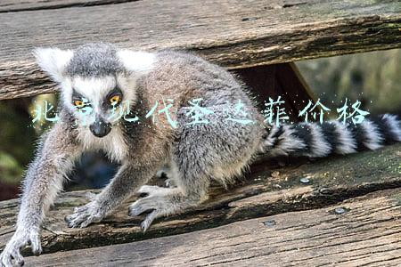 北京现代二手车价格(07年花40万买的现代7座SUV，现在车主想换车却发现只能买4万)