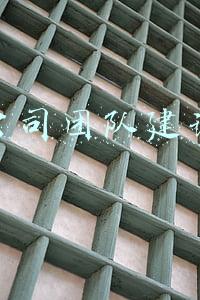 公司团队建设有哪些方面(给你一个团队，你要怎么带？教你高效管理团队的技巧)