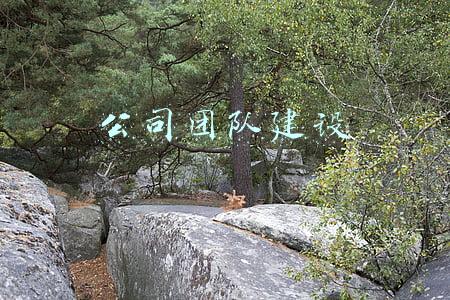 公司团队建设游戏(20个趣味团建活动游戏，你体验过几种？)