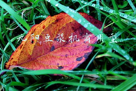 九阳豆浆机商用型