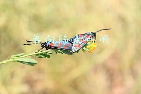 单向隔离网闸 软件(6款免安装的超实用电气计算软件，值得下载)