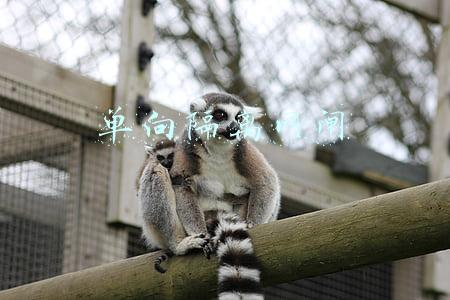 单向隔离网闸是物理隔离(绝对值得收藏的“信息安全产品全介绍”)