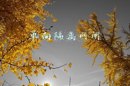 单向隔离网闸工作原理(认识常见网络安全设备（一）)