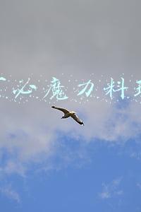 多可必料理棒换刀头(手把手教你：果蔬汁这样做，营养又省事儿)