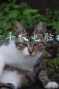 国产平板电脑推荐