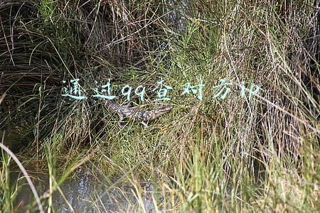 通过qq查对方手机号软件(因为这玩意，不少90后也被“未成年防沉迷”了)