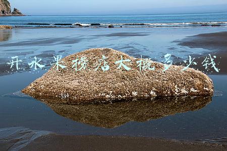 加盟水果捞店总共需要投入多少钱；加盟水果捞大概需要多少钱