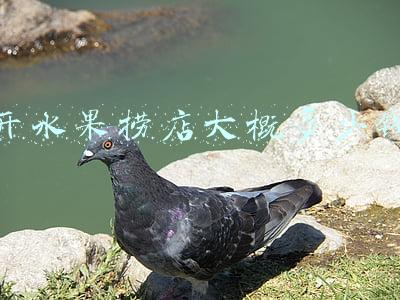 开水果捞店赚钱吗，水果捞利润大吗