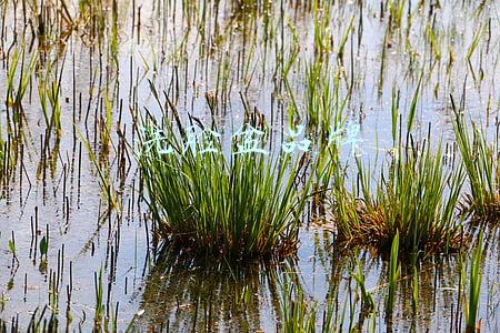 洗脸盆品牌排行榜(洗手盆最新推荐 最新洗手盆排行榜)