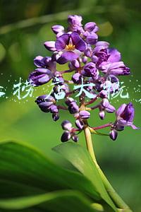 水果捞店需要什么设备怎么配方-水果捞店需要什么设备