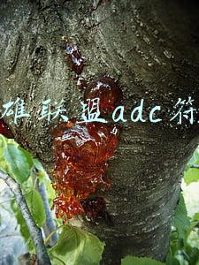 英雄联盟adc符文怎么搭配(英雄联盟：AD符文哪家强？选对就能让你狂点一条街)