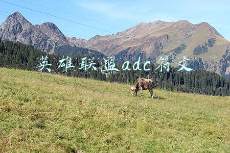 英雄联盟ADC符文怎么点(LOL新版本天赋符文怎么点？5大位置模板一览)