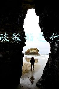 聚碳酸酯是什么