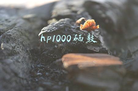 hp1000硒鼓