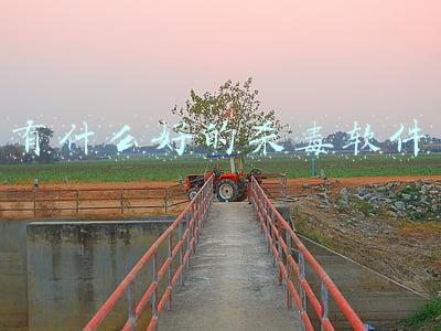 有什么好的杀毒软件和安全软件(折腾了5款杀毒软件，最后选定这样操作！你觉得怎么样？)