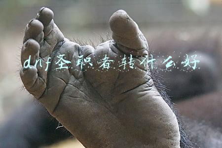 dnf圣职者转什么好