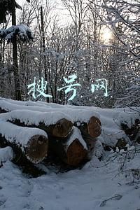 搜号网号码价格评估靠谱吗(花钱就能“修复”“洗白”征信记录？别上当，有人被骗数万)