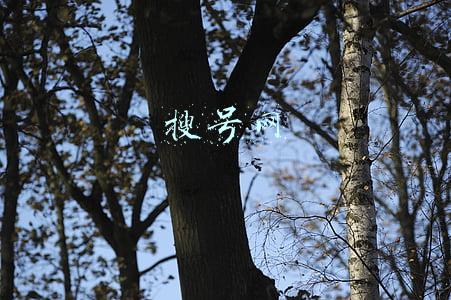 搜号网官网(神舟十二号顺利着陆！“出差三人组”回家！法媒：这是中国成为太空大国的最新里程碑)