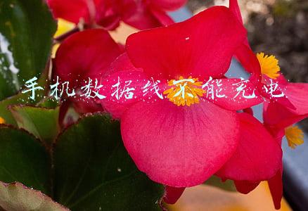 手机数据线不能充电