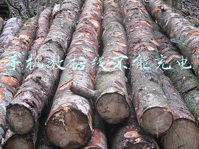 手机数据线不能充电