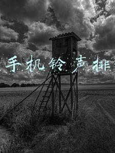 流行手机铃声排行榜