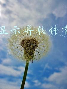 led显示屏软件有哪些厂家(费控软件竞品分析：易快报 VS.分贝通)