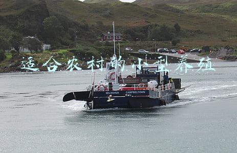 农村小型养殖什么最好(农村的养殖项目，有哪些是不愁销路、投资少、利润高的？)