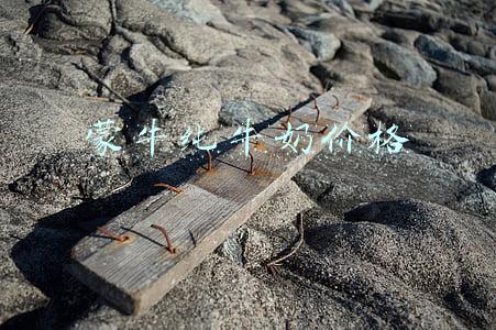 蒙牛纯牛奶价格批发(逆势增长背后，蒙牛为何认准这只“大雁”)