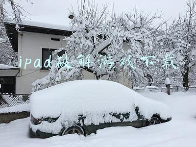 ipad破解游戏下载